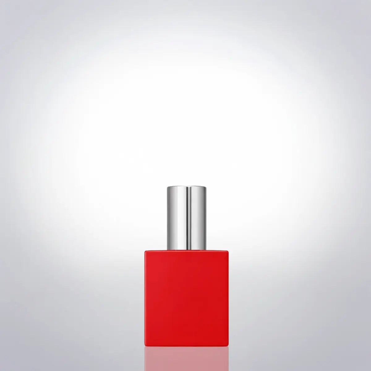 Аня 10 мл Artparfum