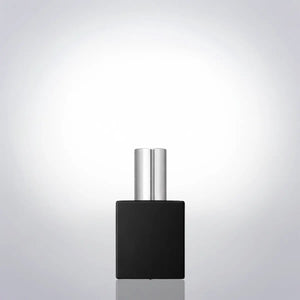 Аня 10 мл Artparfum
