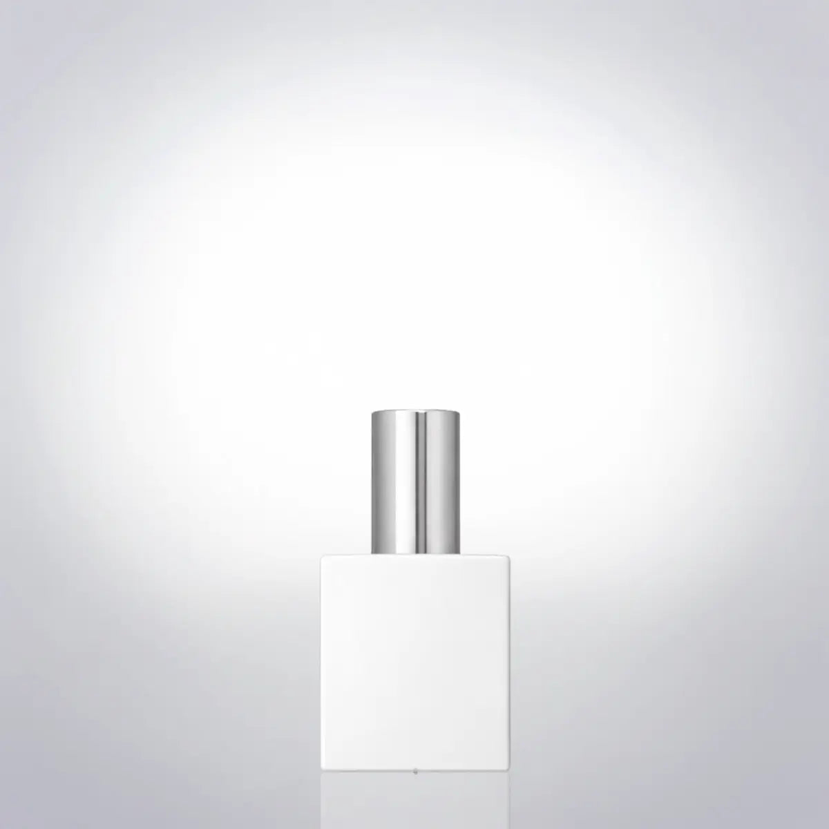Аня 10 мл Artparfum
