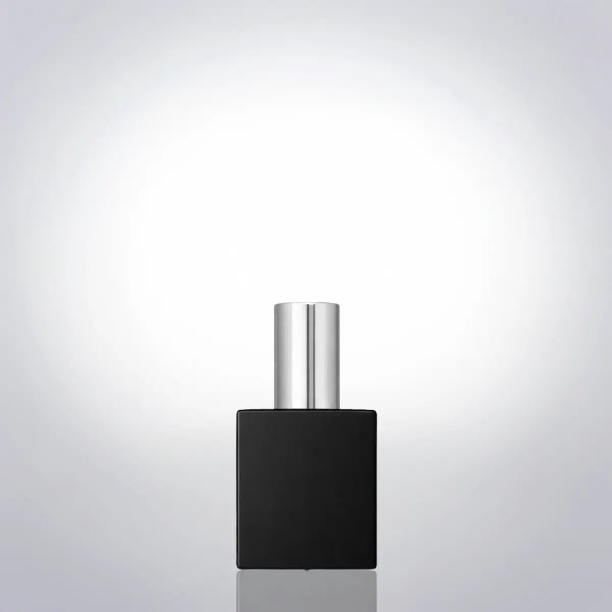 Аня 10 мл Artparfum